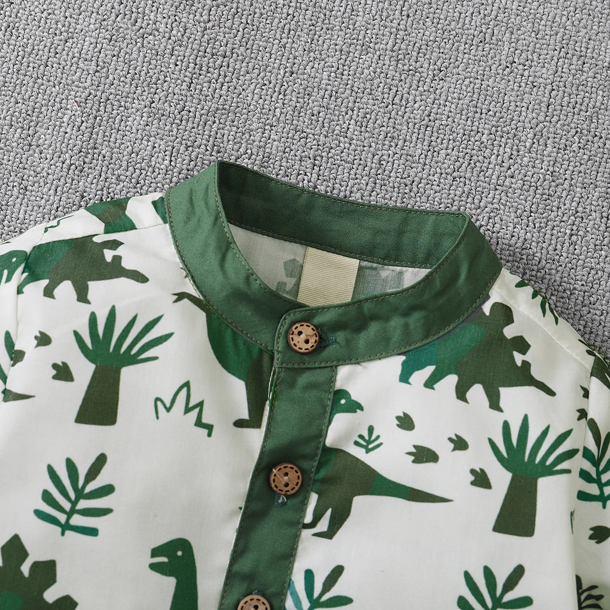 Toddler Boy Dinosaur 2 Pcs Outfit