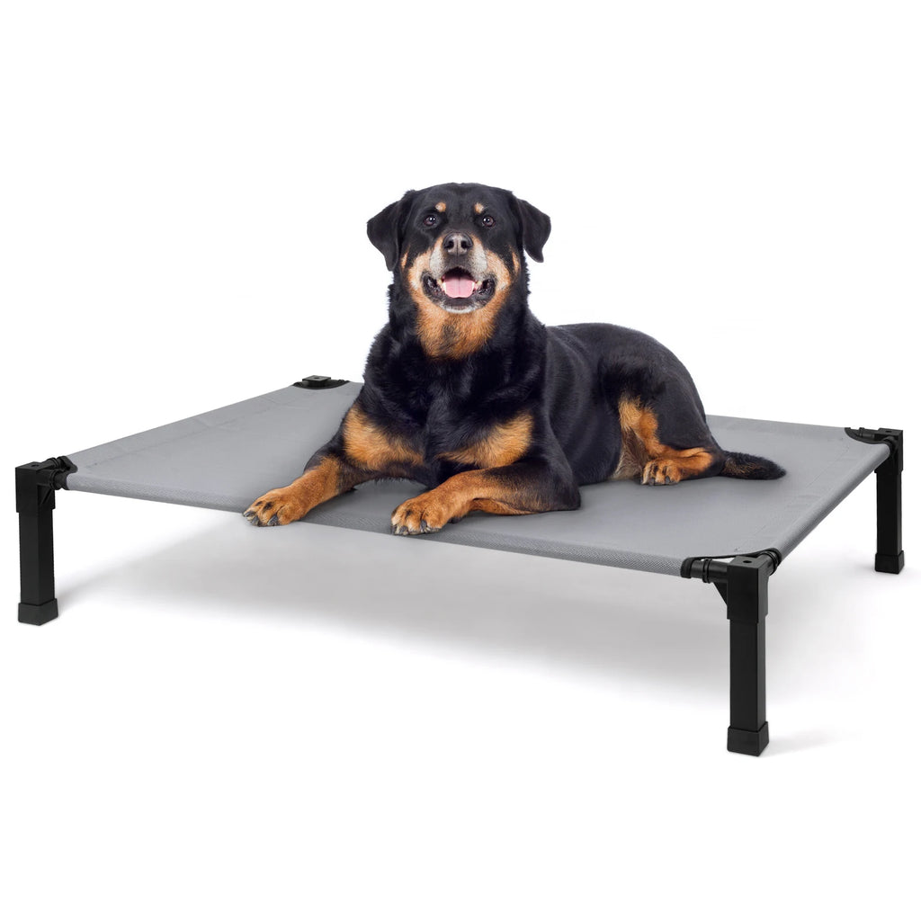 Cooling Raised Pet Cot with Chew Proof Material