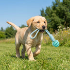 Cotton Rope & Rubber Dog Chew Ball