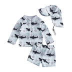 Infant Boy Rash Guard Swimwear Set