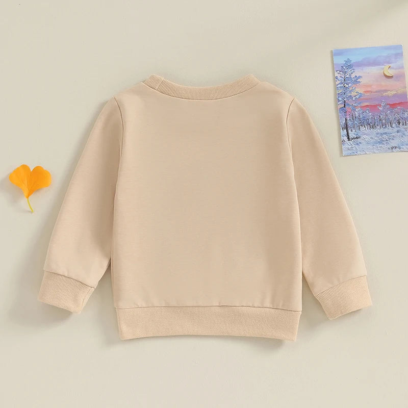 6M-4Y Toddler Baby Boy Big Brother Sweatshirt