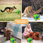 Dog Snuffle Ball