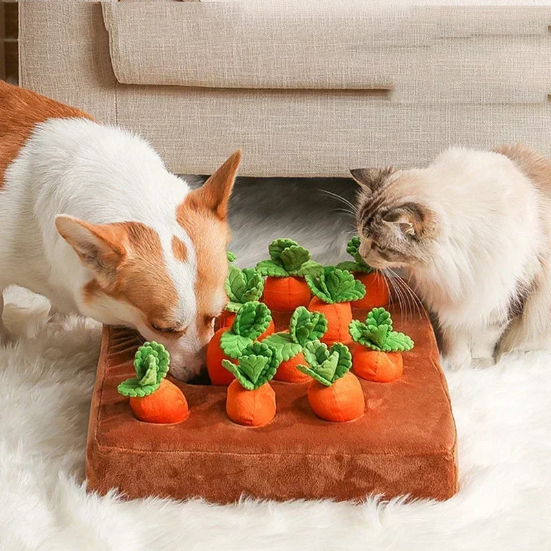 Innovative Dog Toys Snuffle Mat Carrots