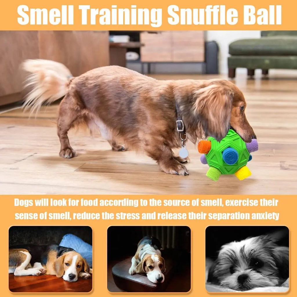 Dog Snuffle Ball